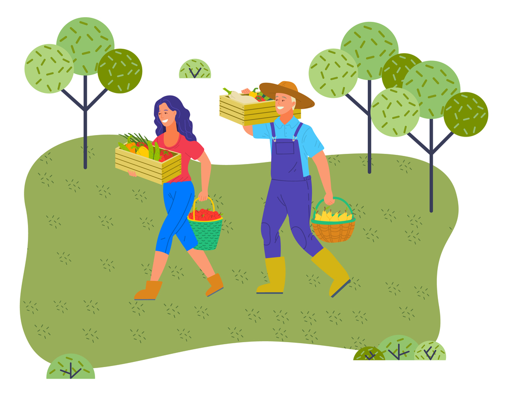 Woman and man farmers with harvest in boxes and baskets. Girl with box of vegetables and bucket of apples. Man holding wooden box of crop and basket with pears. Agricultural worker with fresh products. Woman and man farmers with harvest in boxes and baskets. Gardener workers with autumn garden stuff