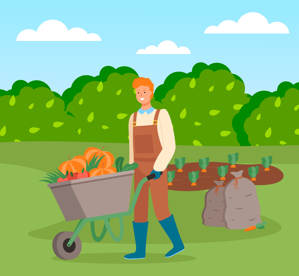 Farmer wearing in overalls and rubber boots pushing a wheelbarrow full of vegetables. Agricultural worker, autumn harvest. Man going with vegetables in cart, harvesting tomato, pumpkin, carrot. Farmer wearing in overalls pushing a wheelbarrow full of vegetables. Agriculture, autumn harvest