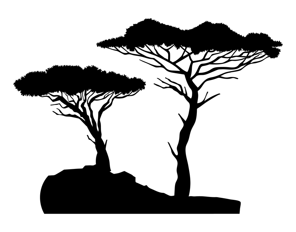 Black silhouette of two trees baobabs with bush. Simple tree icon. Nature concept. Black tropical plant isolated at white background. Decorative element, stencil. Vector black illustration. Black silhouette of two trees baobab with bush, simple raster icon, nature concept, black plant