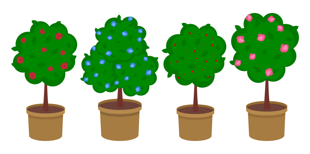 Set of cartoon flowering trees or bushes. Red and blue flowers, dense foliage, potted plant. Growing plants and trees, urban landscaping. Indoor plant. Fluffy tree in flowerpot. Flat vector image. Set of potted flowering trees or rose bushes. Urban gardening. Vector image isolated on white