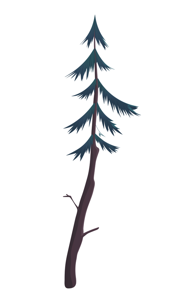 Silhouette of fir-tree. Hight green pine. Simple tree icon. Nature concept. Pine tree with needles isolated at white background. Decorative element. Plant shadow. Vector illustration. Hight green pine. Silhouette of fir-tree, simple vector icon, nature concept, black tree