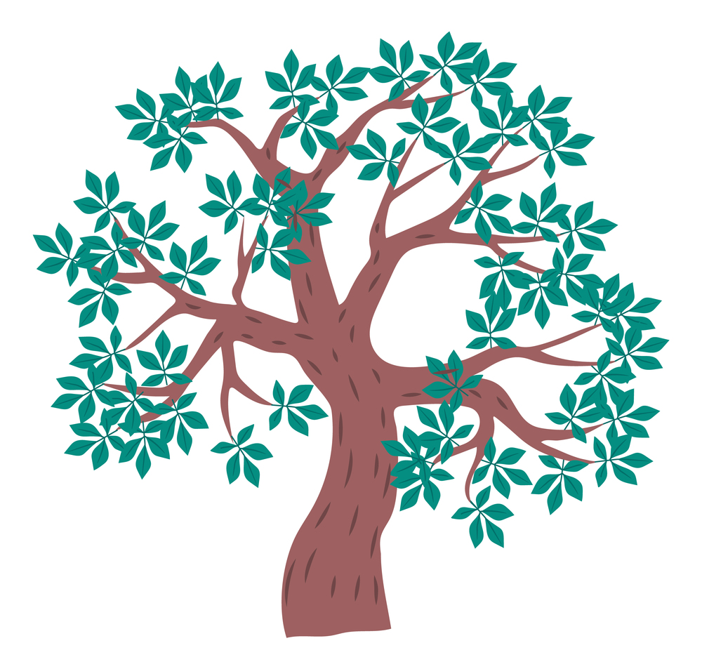 Tree icon, cartoon illustration of green tree with leaves isolated at white background, nature concept, vector emblem, landscape interface, part of wood, raster icon, flat style of organic plant. Tree icon, cartoon illustration of green tree with leaves isolated at white background, nature