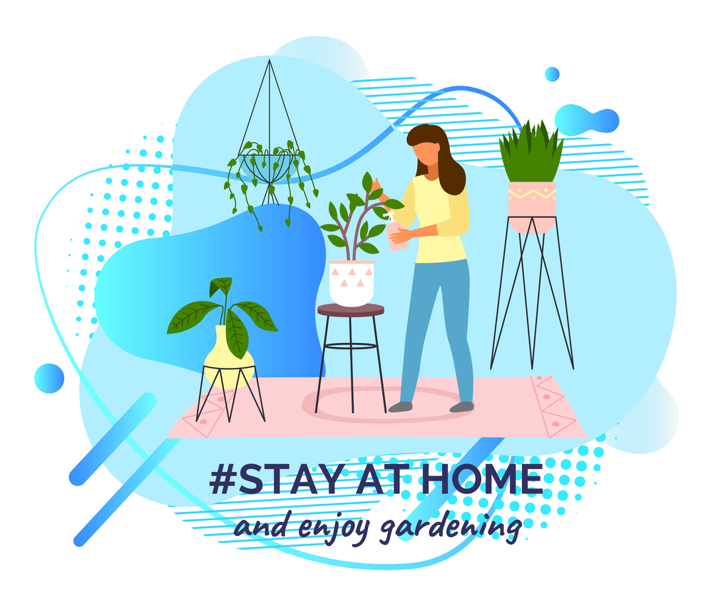 Stay at home and enjoy gardening. Quarantine self-isolation at home. Prevention of covid-19, coronavirus. Woman caring for plants, spray water. Home leisure during virus epidemic, spreading infection. Stay at home and enjoy gardening, woman caring for plants, decorative garden, ecological hobby