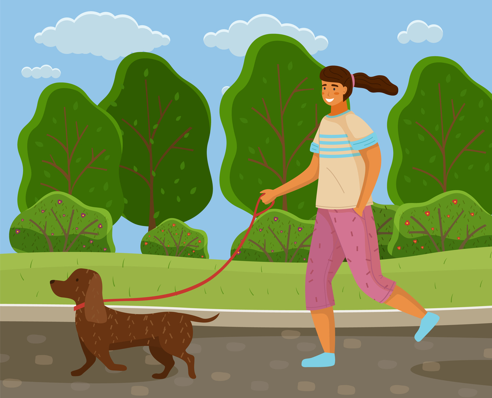 Walk with dog in the park. Girl is going with a doggy in garden sunny day. A happy pet dachshund running with the owner against the backdrop of a summer landscape with a green plant and a blue sky. Walk with dog in the park. Girl is going with a rinning dachshund doggy in garden sunny day