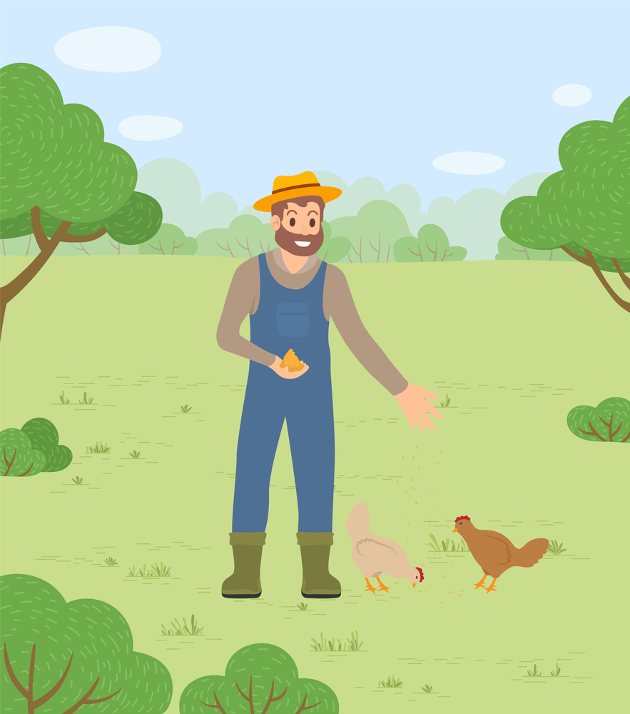 Farmer man in hat feeding chickens hens with cereals and wheat seeds countryside landscape. Tending domestic birds, smiling bearded farmer worker with food for fowls. Poultry breeding concept. Farmer man in hat feeding chickens hens with cereals and wheat seeds countryside landscape
