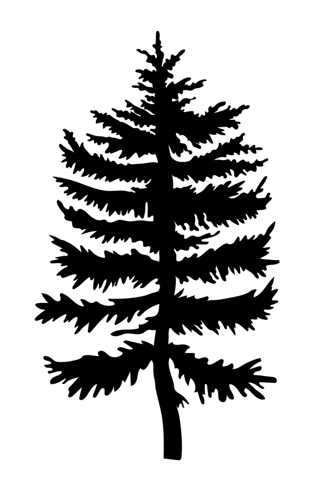 Black silhouette of fir-tree. Christmas tree. Simple tree icon. Nature concept. Black tree with needles isolated at white background. Decorative element. Plant shadow. Vector black illustration. Black silhouette of fir-tree, christmas tree, simple raster icon, nature concept, black tree