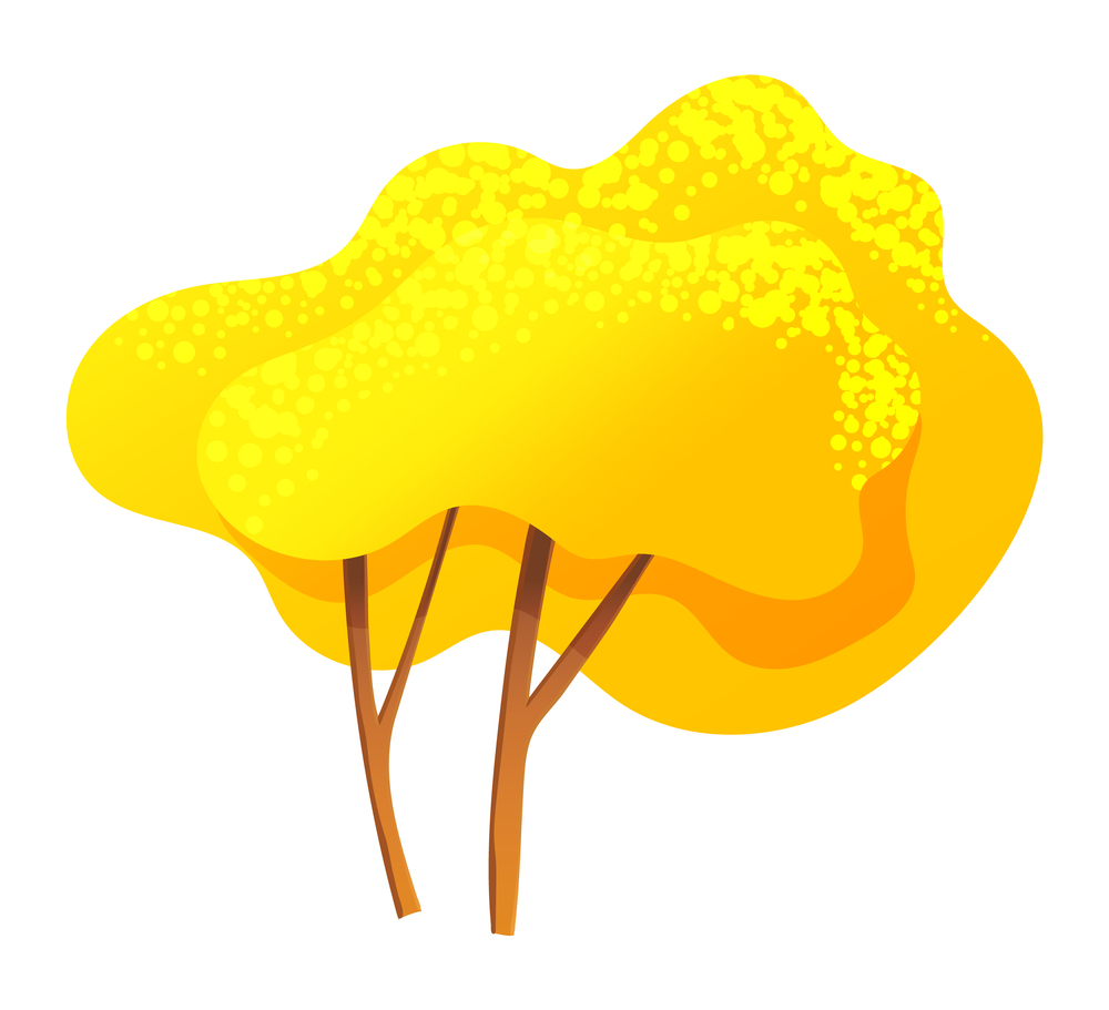 Yellow bright autumn tree or bush with a lush crown, thin brown trunk and branches isolated on white. Vector illustration of big plant with foliage round shape, landscape element in cartoon concept. Yellow bright autumn tree with a lush crown, thin brown trunk and branches isolated on white