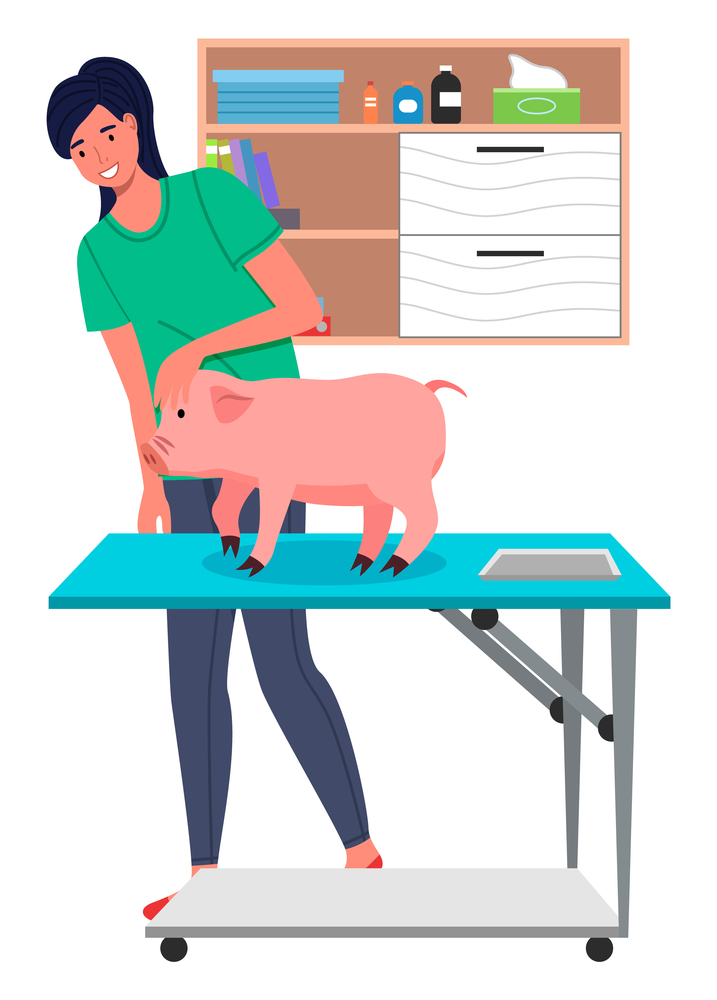 Piglet at reception of veterinarian. Veterinarian in protective uniform examines pet on vet table. Shelves with folders, medical records, medicine bottles, disposable wipes. Big green leaves. Veterinarian girl examines pig at vet room. Pet on the veterinary table. Veterinarian treats piglet