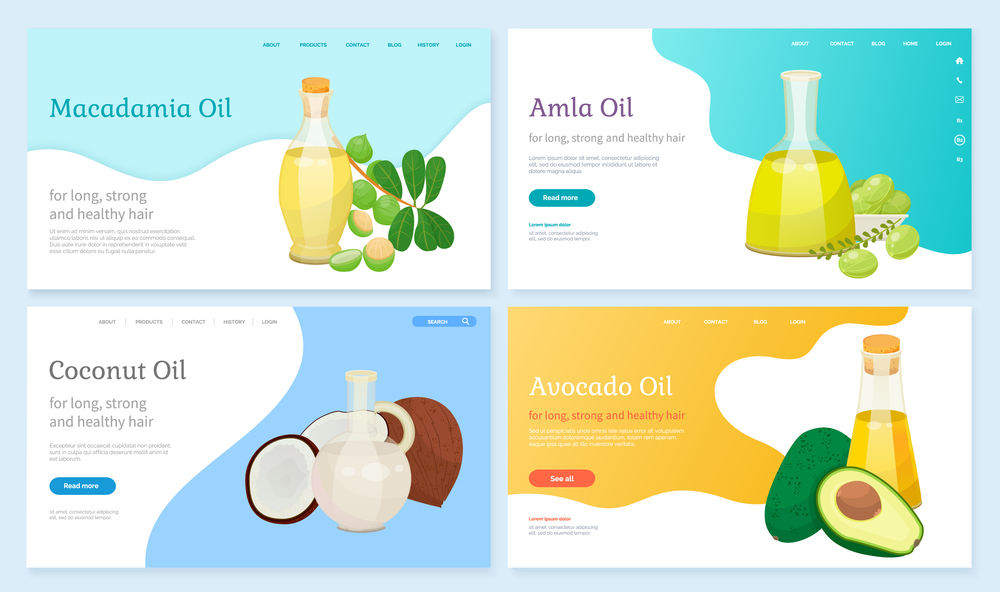 Collection of hair oils for beauty and cosmetics. Macadamia and amla, avocado and coconut. Healthy and beautiful hairdo with organic ingredients. Website or webpage template, landing page vector. Macadamia and Amla, Coconut and Avocado Oils Set