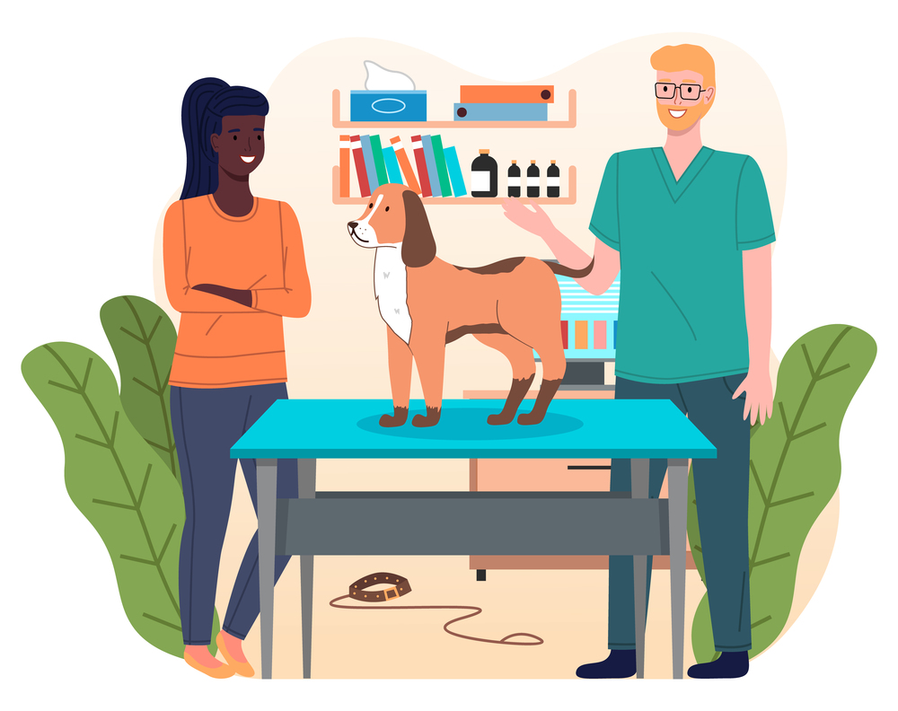 Dog at reception of veterinarian. Owner of pet is standing near veterinary table Veterinarian examines pet. Shelves with folders, medical records, medicine bottles, disposable wipes. Big green leaves. Girl with dog at reception at veterinarian. Pet on the veterinary table. Veterinarian examines dog