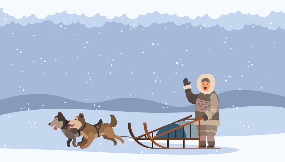 Arctic man using sledge with sled dogs traveling on snowdrifts. Character waving hand. Snowing weather in north. Eskimo person with domestic animals northern husky outdoors, dog team in action. Arctic man using sledge with sled dogs traveling on snowdrift. Eskimo person with dog team in action