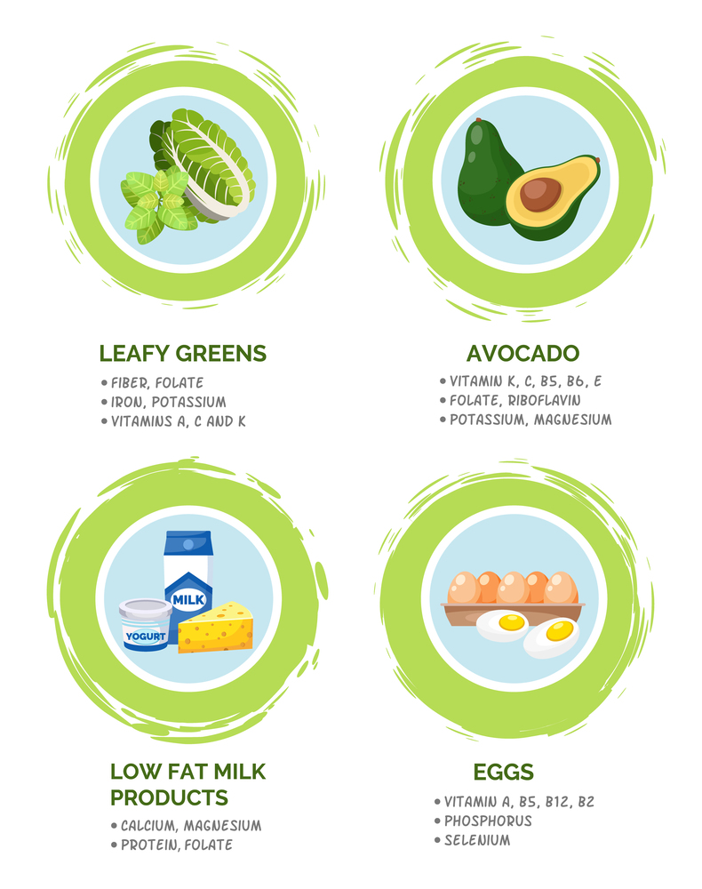 Healthy foods information poster with useful products, content of nutrients and vitamins flat vector illustration. Set of dairy products, milk yogurt and chees, eggs, avocado and leafy greens. Healthy foods information poster with useful products, content of nutrients and vitamins flat vector