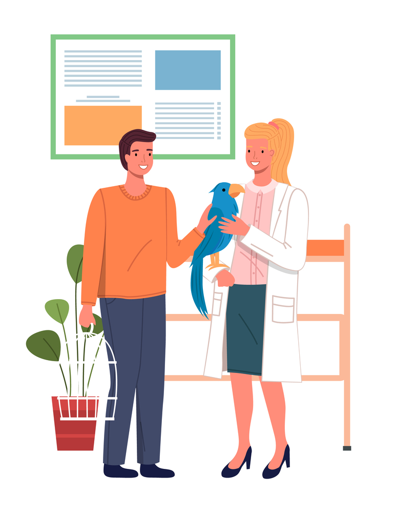 The veterinarian holds a parrot in her hands. The owner petting the pet in the veterinary clinic. Domestic animals treatment concept. Veterinary professional consultation. People with a colorful bird. The veterinarian holds a parrot in her hands. The owner petting the pet in the veterinary clinic