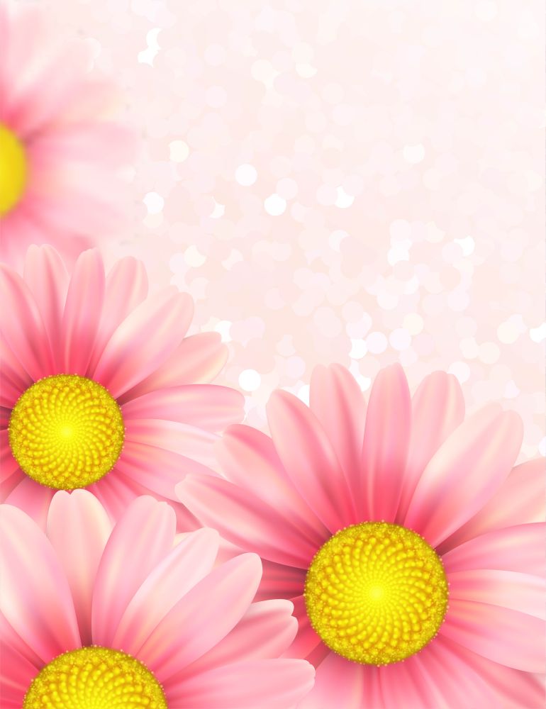 Background with pink daisy flowers. Vector illustration EPS10. Background with pink daisy flowers. Vector illustration