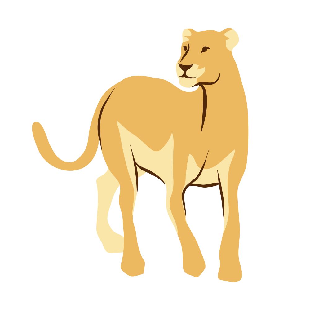 Stylized illustration of lioness. Wild African savanna animal on white background.. Stylized illustration of lioness.
