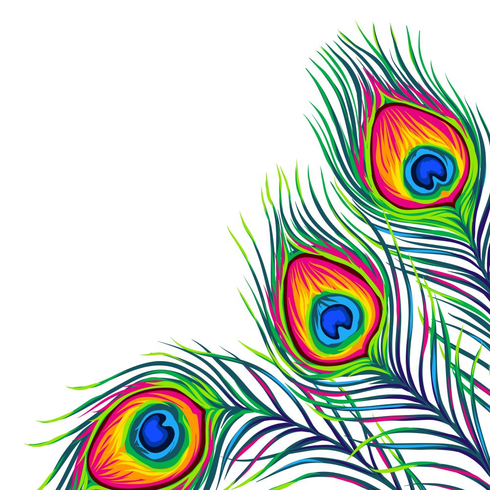 Background with peacock feathers. Color hand drawn exotic bird plumage.. Background with peacock feathers.