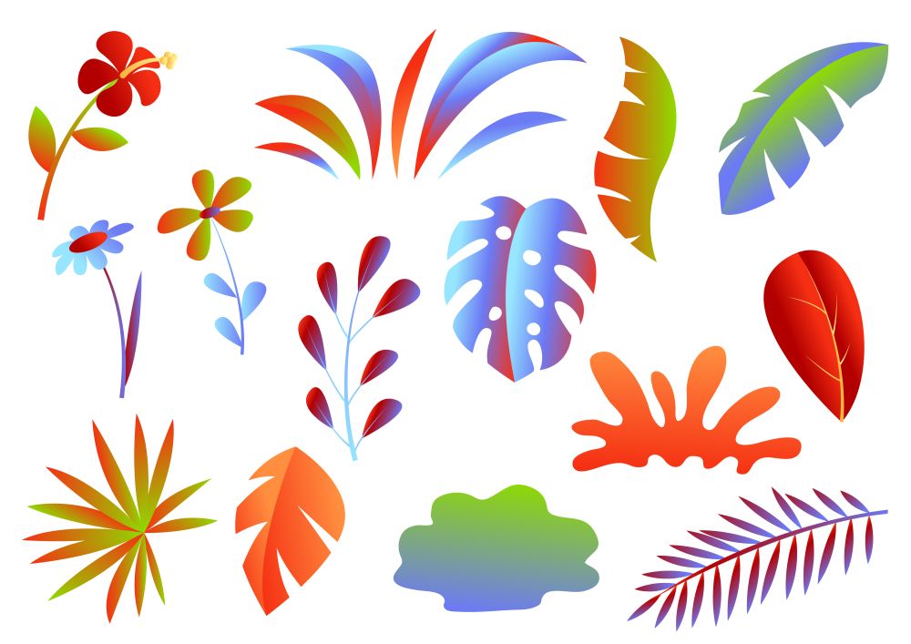Set of tropical leaves and flowers. Decorative exotic foliage and plants.. Set of tropical leaves and flowers.