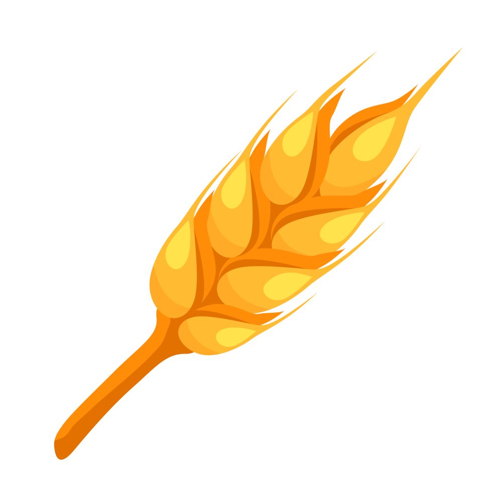 Wheat spike icon. Illustration solated on white background.. Wheat spike icon.