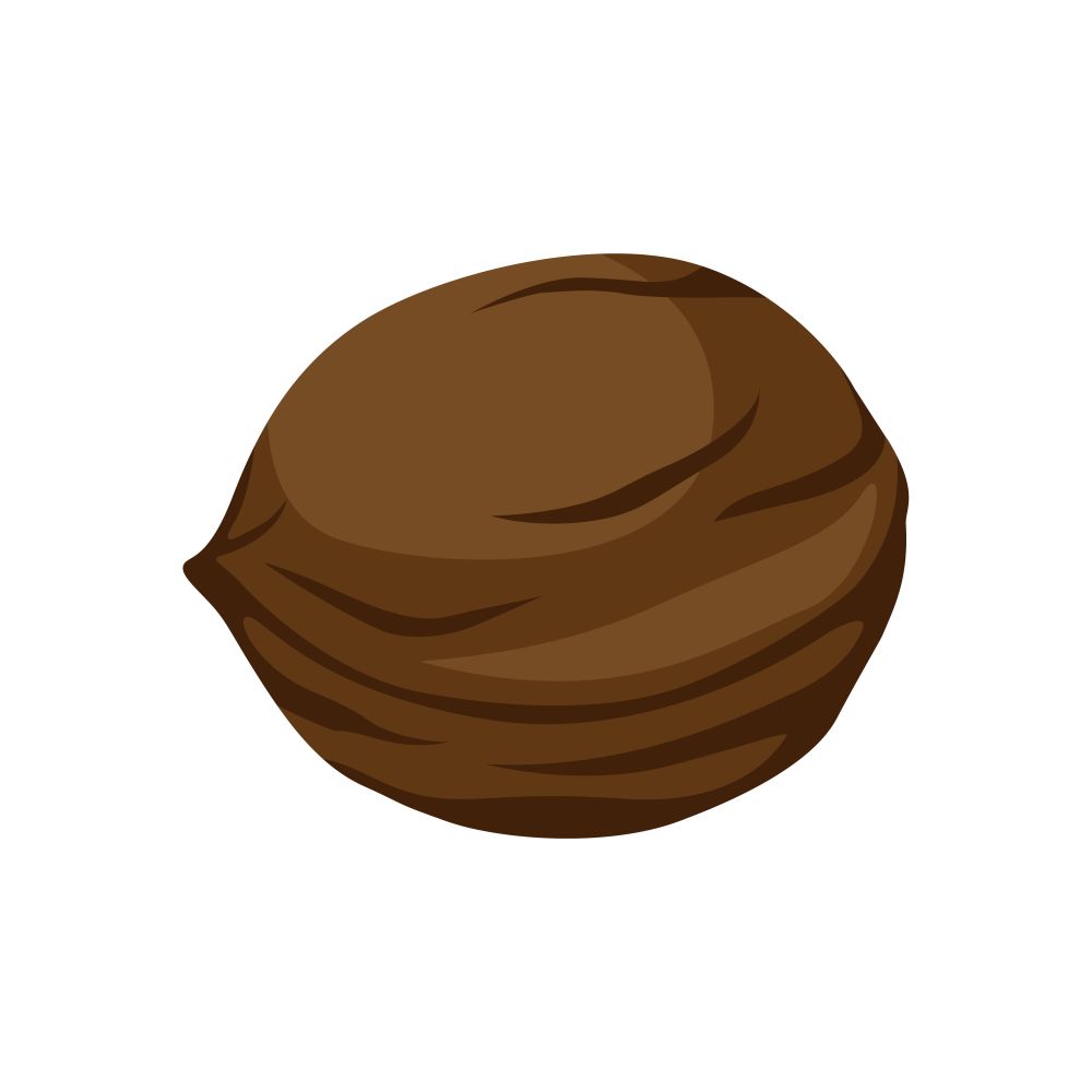 Brown walnut icon. Illustration solated on white background.. Brown walnut icon.