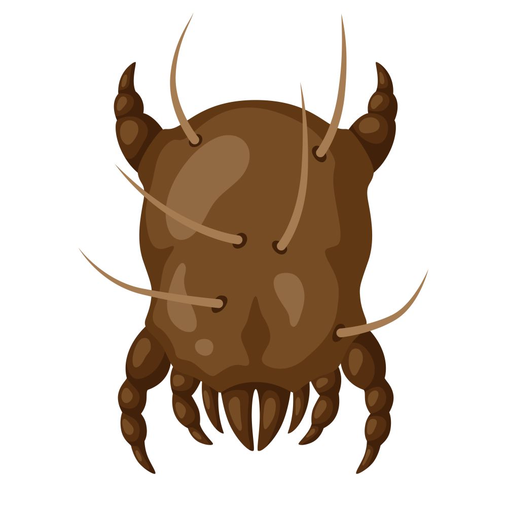 Icon dust mite insect. Illustration solated on white background.. Icon dust mite insect.