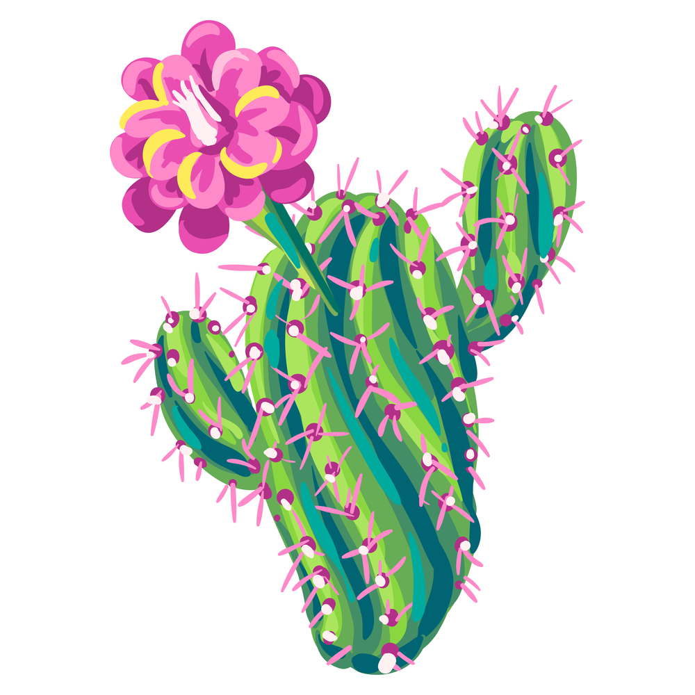 Illustration of cactus. Decorative spiky mexican cacti. Natural image.. Illustration of cactus. Decorative spiky mexican cacti.