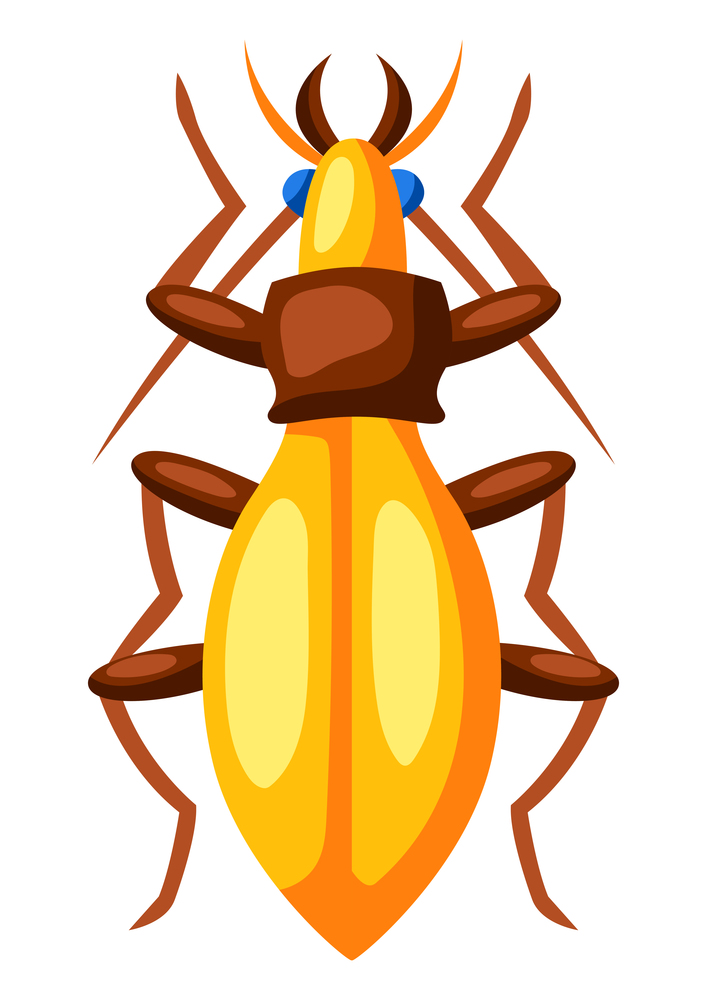 Illustration of colorful beetle. Stylized decorative color insect.. Illustration of colorful beetle. Stylized decorative insect.