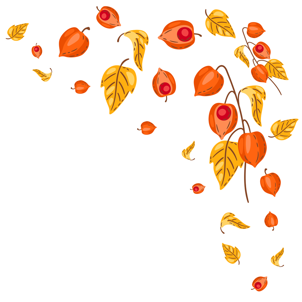 Background from fesalis sprigs with berries. Image of seasonal autumn plant.. Background from fesalis sprigs with berries. Image of autumn plant.