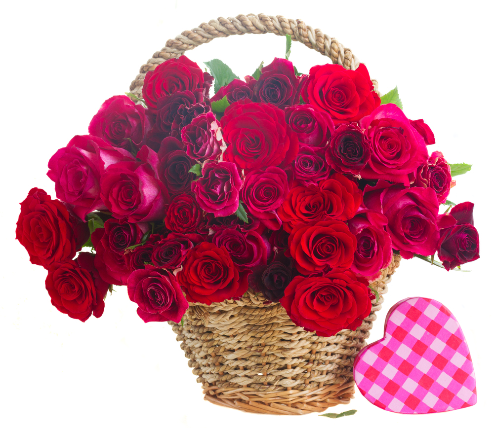 fresh  pink and red roses in basket with heart gift box   isolated on white background. pile of pink roses