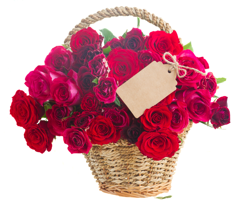 pile of fresh  pink and red roses in basket with empty paper note   isolated on white background. pile of pink roses