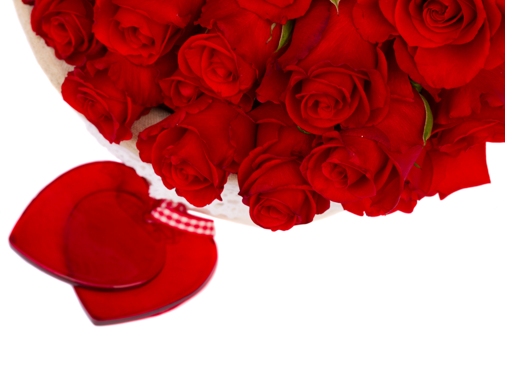 red  roses with two hearts border  isolated on white background.  red roses with hearts