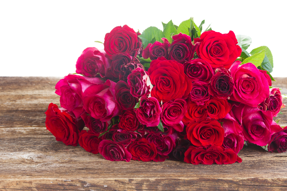 red and pink fresh roses  on wooden table border  isolated on white background. Border of red roses