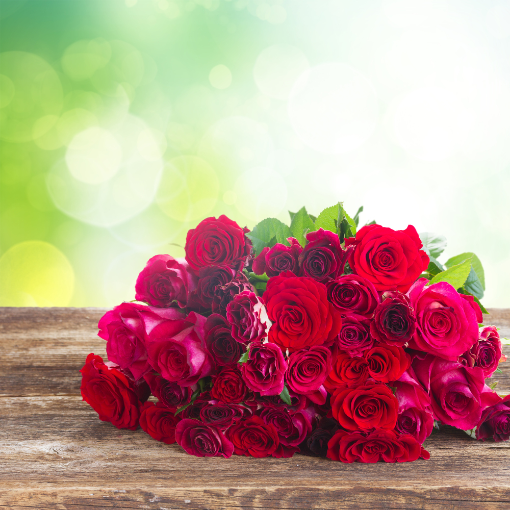 red and pink fresh roses  on wooden table over green garden background. Fresh red roses