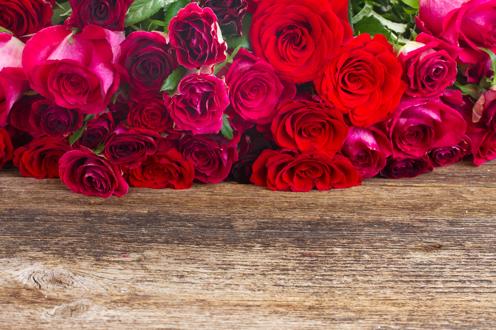 red and pink fresh roses  on wooden table border  . Border of red roses