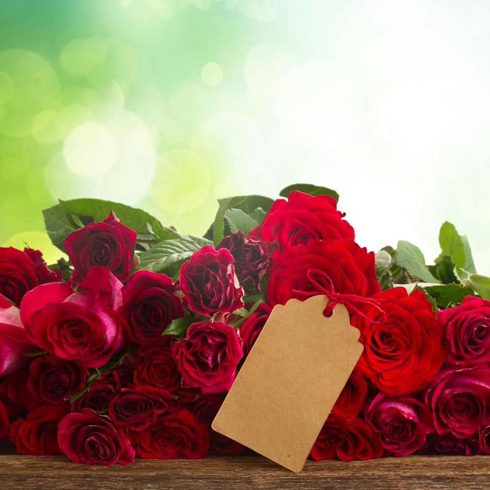 red and pink  roses  with blank paper note on wooden table border over green garden background. Fresh red roses