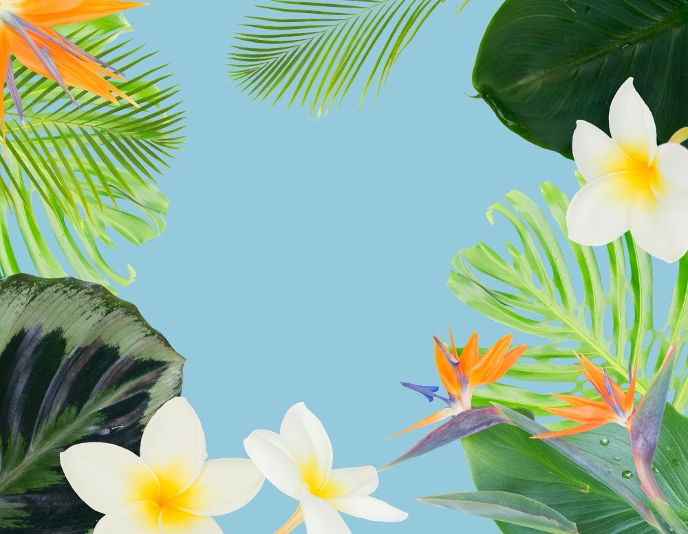 tropical flowers and leaves - border of fresh strelizia bird of paradize flowers, frangipani and exotic palm leaves on blue background. orange hibiscus flower