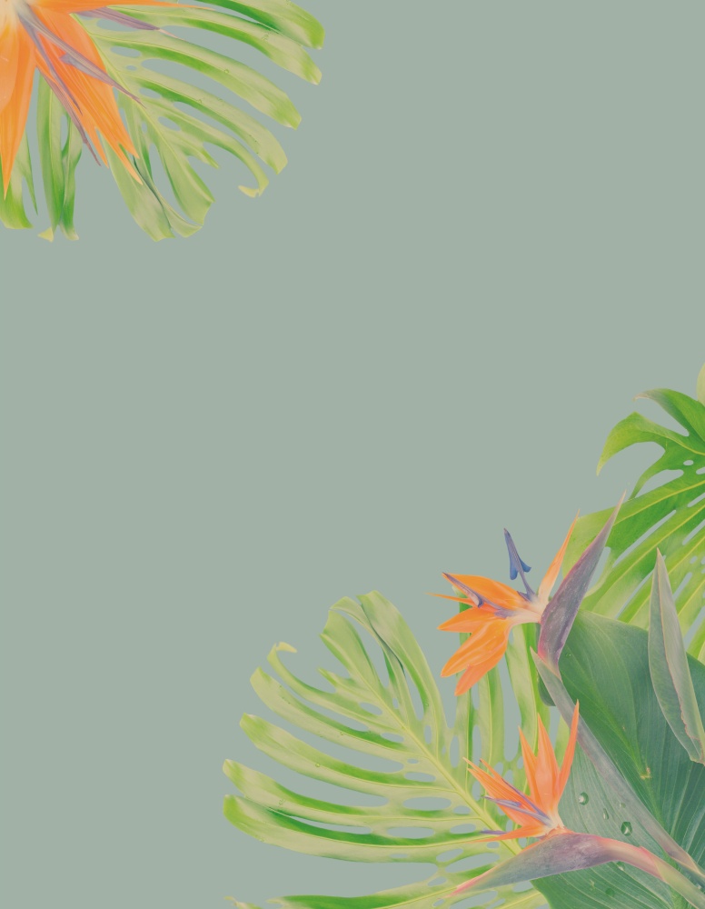 tropical flowers and leaves - border of fresh strelizia bird of paradize flowers and exotic monstera leaves on blue background, retro toned. orange hibiscus flower