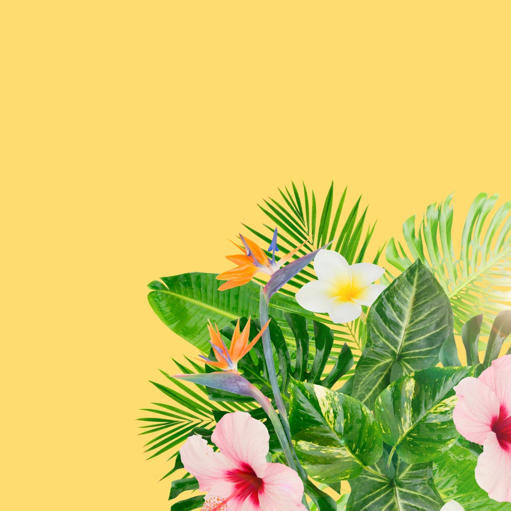 Tropical green leaves and flowers on yellow background with copy space. Tropical green leaves