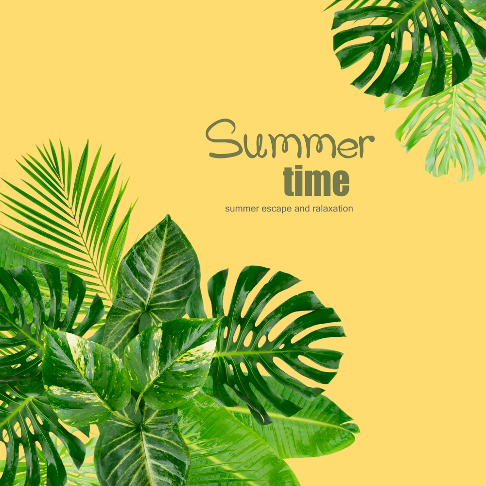 Tropical green leaves frame over pastel plain yellow background with copy space. Tropical green leaves