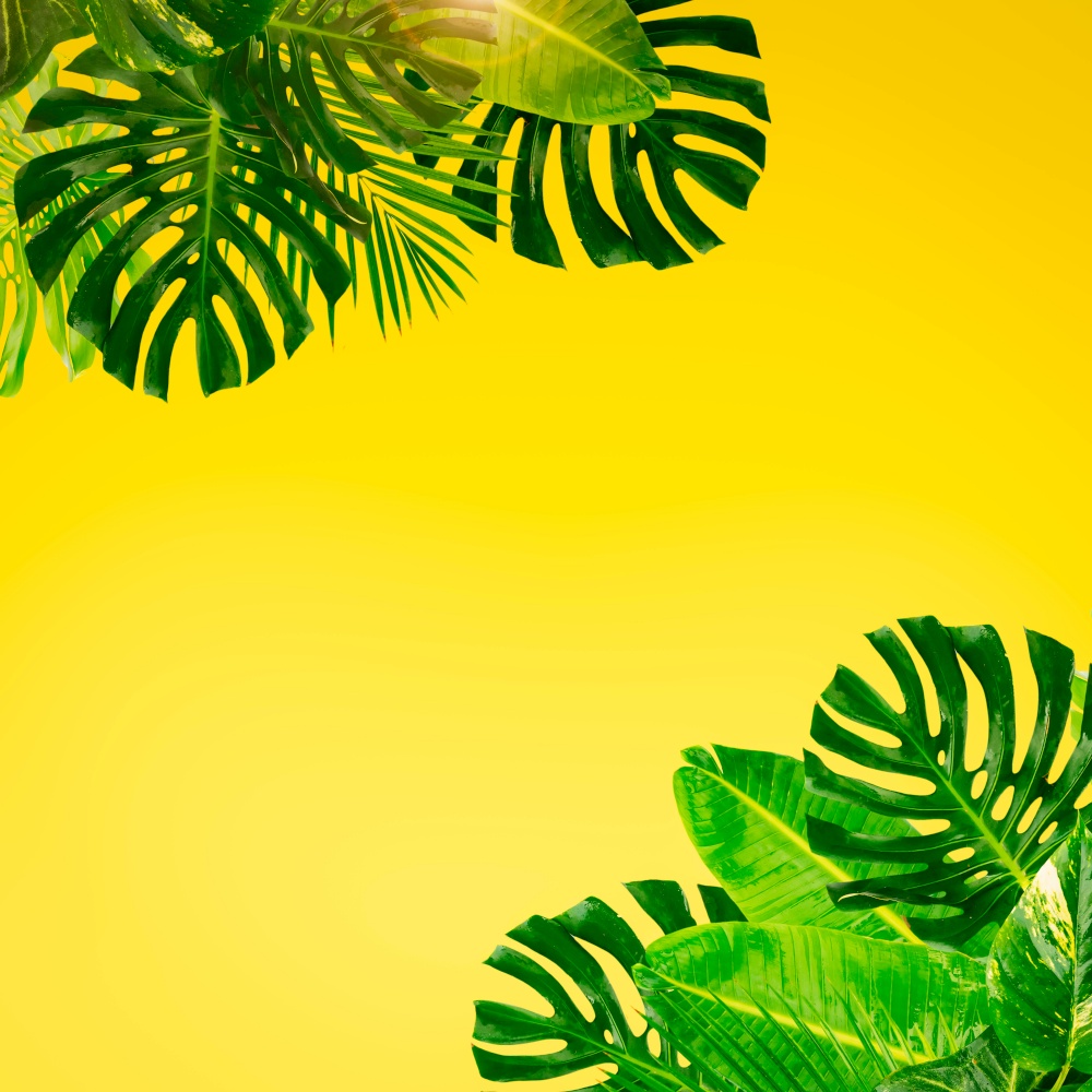 Tropical green leaves frame over pastel plain yellow background with copy space toned image. Tropical green leaves