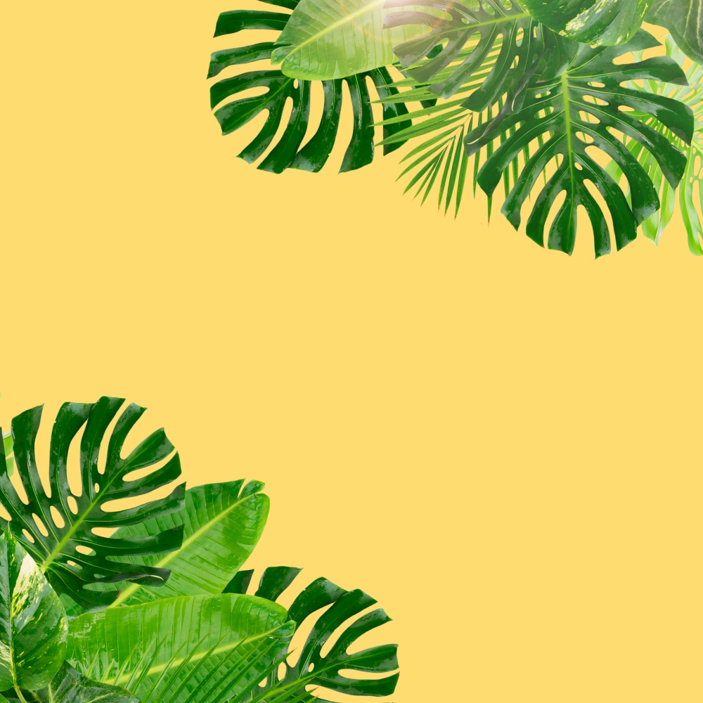 Tropical fresh green leaves frame over pastel plain yellow background with copy space. Tropical green leaves