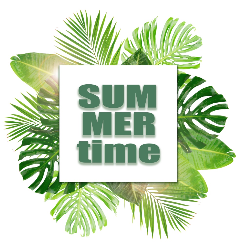 Tropical green leaves with summer time words layout isolated on white background. Tropical green leaves