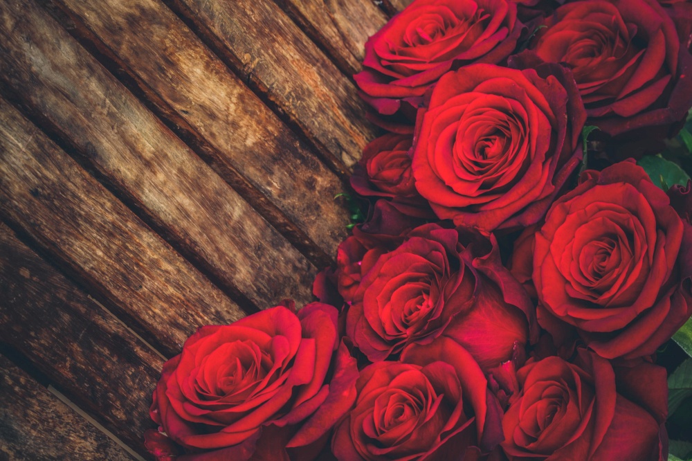 dark red fresh roses laying on wooden table, toned. dark red roses on table