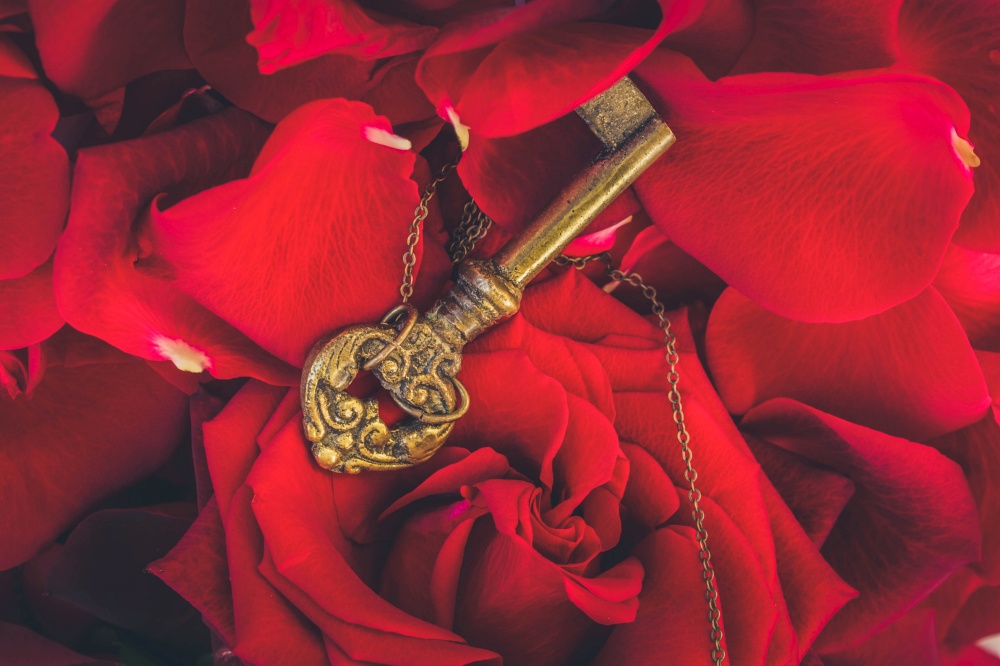 Key with the red blooming rose and fresh petals as a symbol of love, toned. Key with the heart as a symbol of love