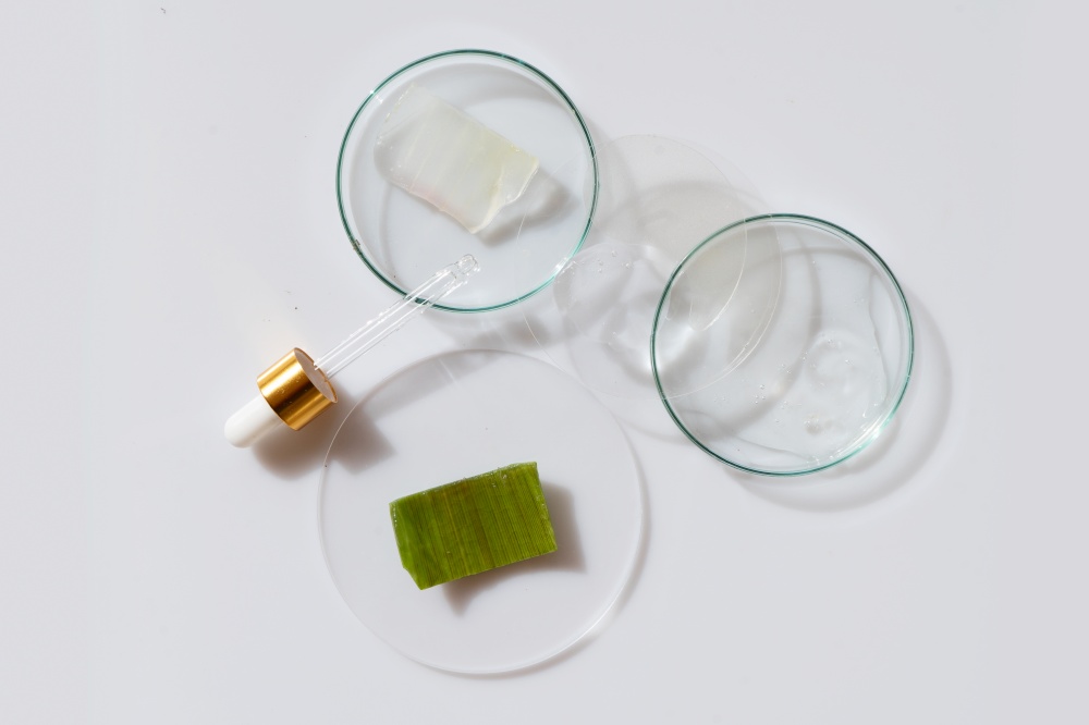 Glass petri dish with transparent pure serum for skin care with aloe vera on white background, top view. Concept laboratory tests and research, making and testing green ecological cosmetic. Glass petri dish with transparent pure serum for skin care