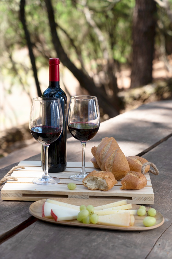 picnic with red wine, bread and cheese. picnic with wine