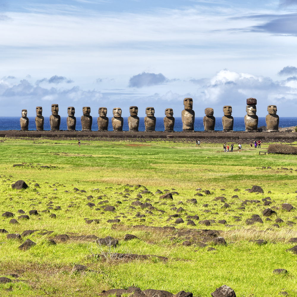 in chile rapa nui the antique and mysteriuos muai statue symbol of an  ancien culture