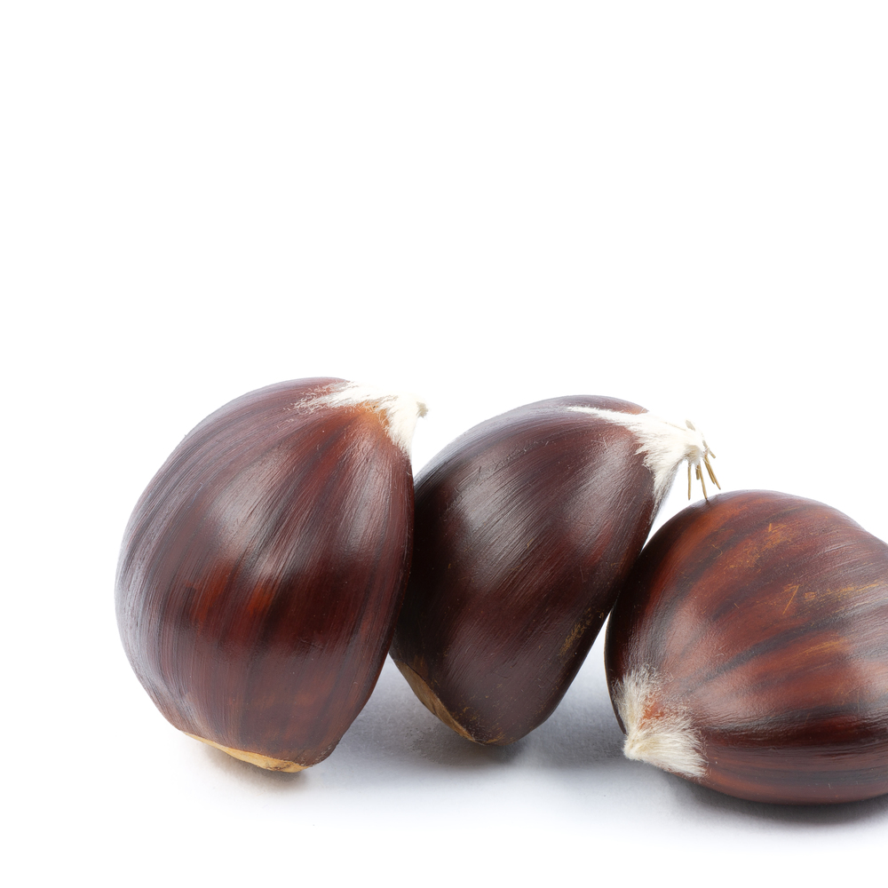 blur in the light background lots of chestnut like concept of healtyh and seasonal food