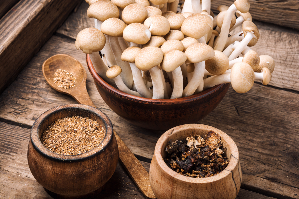 Spice for a dish of forest mushrooms. Mushroom seasoning. Fragrant mushroom seasoning