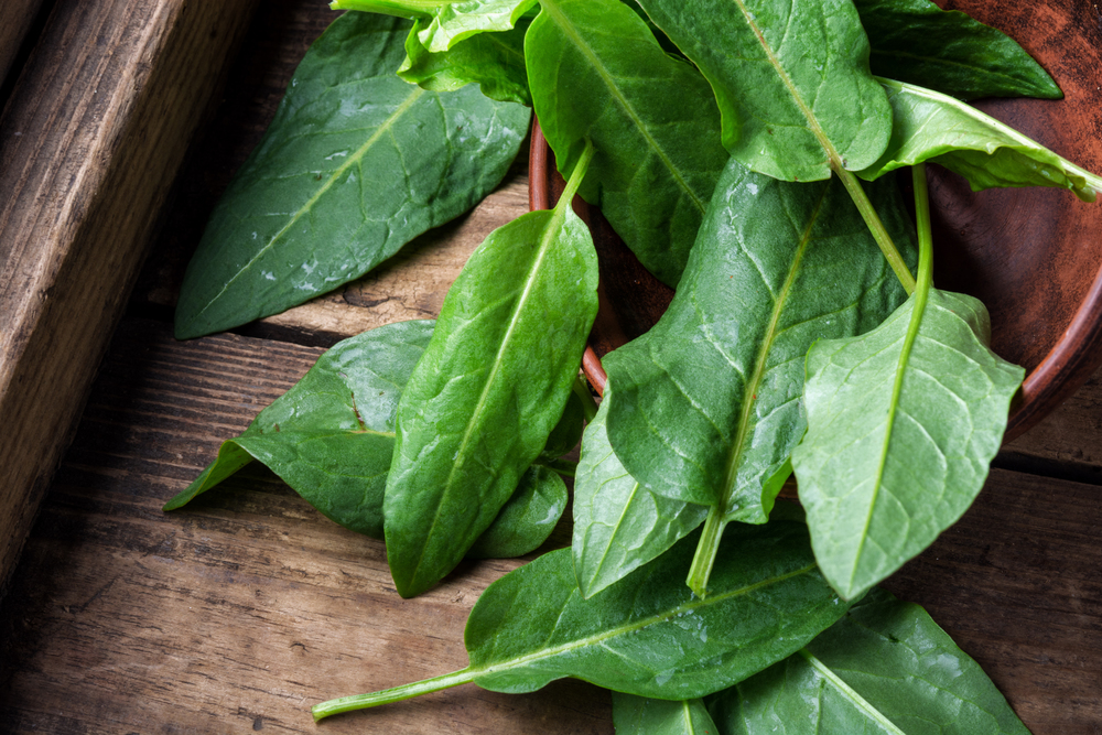 Fresh spinach leaves on rustic wooden table.Green fresh spinach. Bundle of fresh spinach