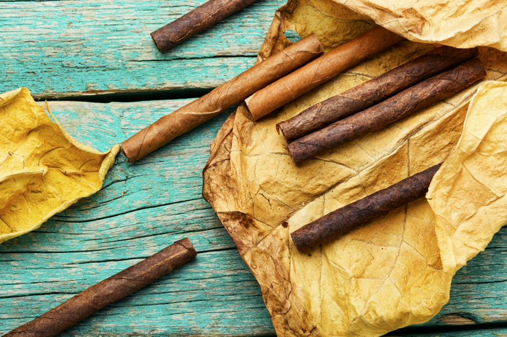 Cigarillos and dry tobacco leaf.Tobacco smoking concept. Group cigars and tobacco leaves